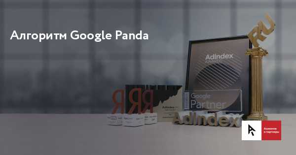 Как алгоритм Google Panda навсегда изменил SEO